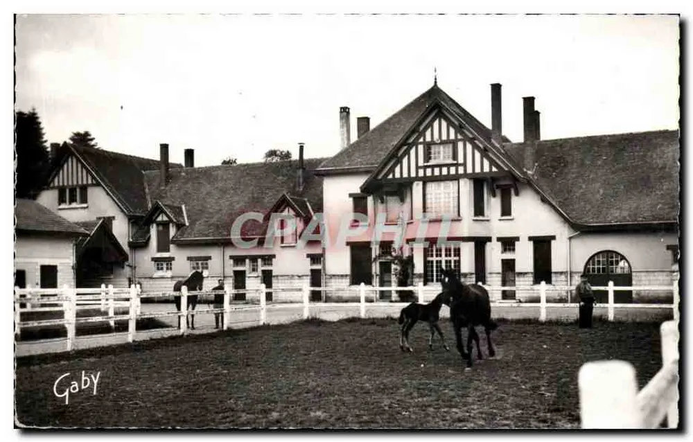 Beauvaisinière-Stud — Le Merlerault (Orne) — Edition Gaby - Vorderseite