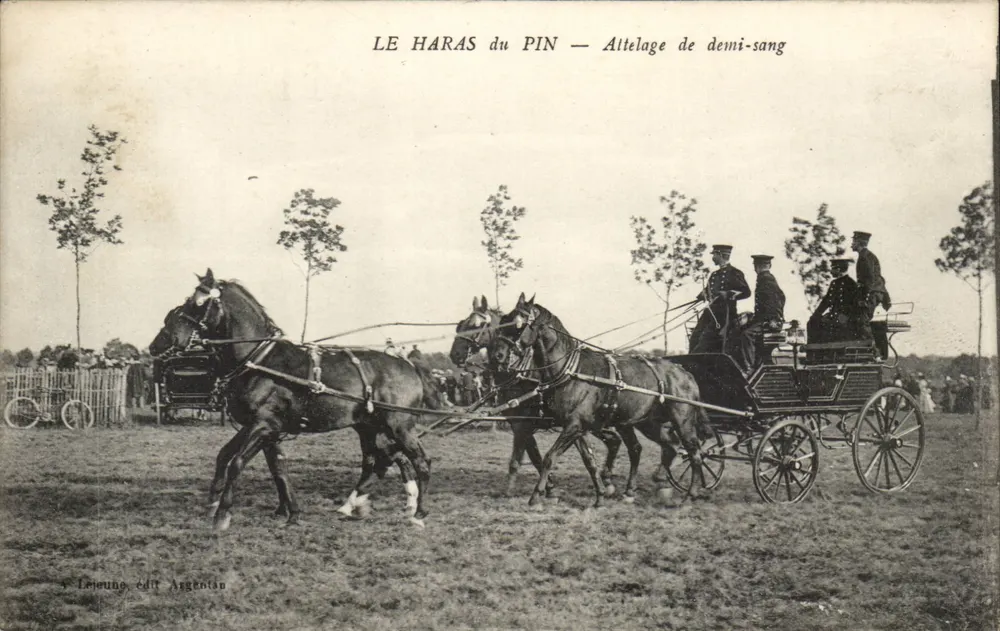 Le Haras du Pin — Halbblut-Zug — V. Lejeune, Verleger Argentan - Vorderseite