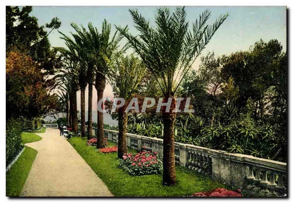 Cap-d'Antibes — Villa Ellenroc — Allee der Palmen — Lévy & Neurden — n°91 - Vorderseite