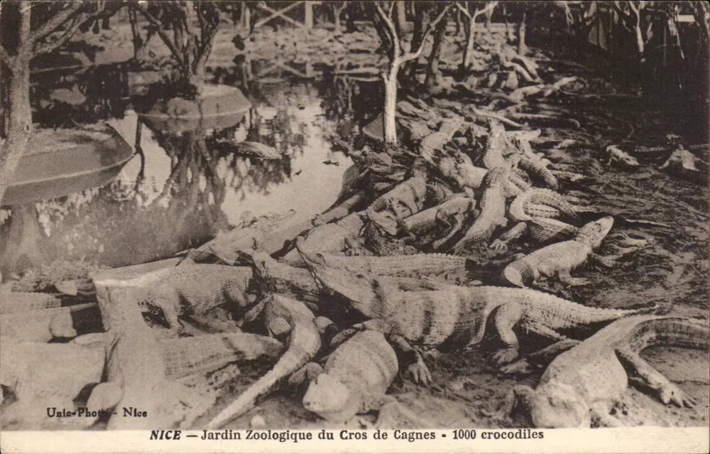 NICE — Zoologischer Garten von Cros de Cagnes — 1000 Krokodile - Vorderseite