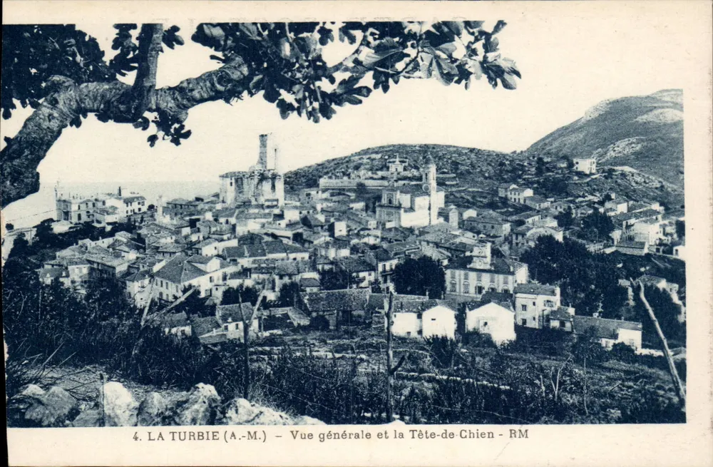 La Turbie (A.-M.) — Allgemeiner Blick und der Kopf des Hundes - RM - Vorderseite