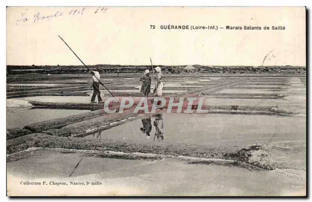 Guérande (Loire-Inf.) — Marais Salants de Sailllé — Collezione F. Chapeau, Nantes, 3e mille - Recto