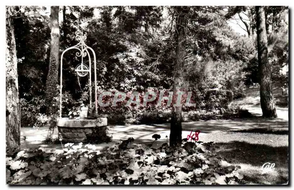 O Parque das Dryades — La Baule-les-Pins — Réal-Photo - Frente