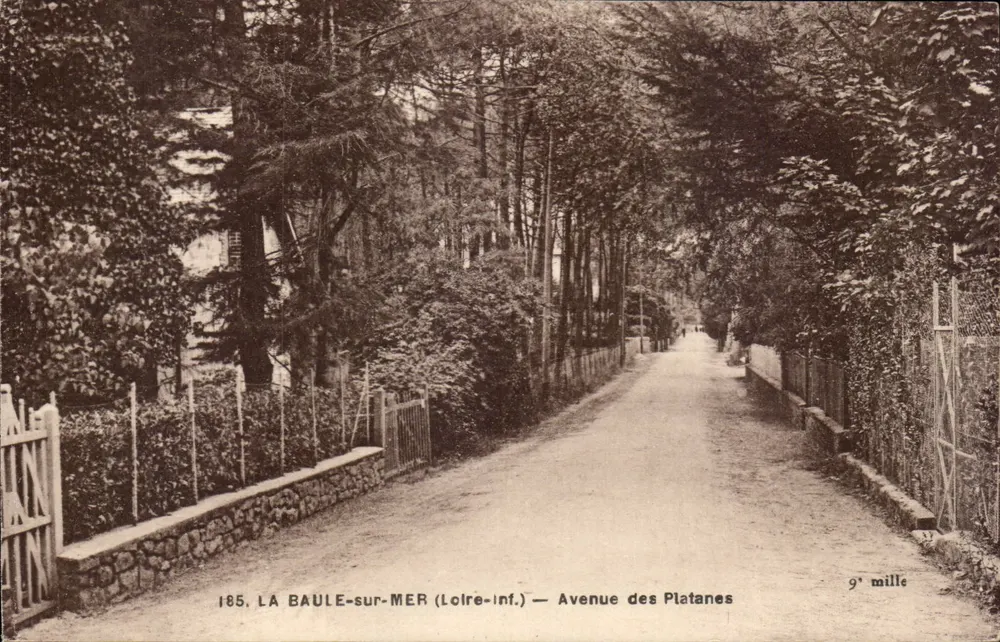 LA BAULE-sur-MER (Loire-Inf.) — Avenida dos Plátanos — 9º mille - Frente