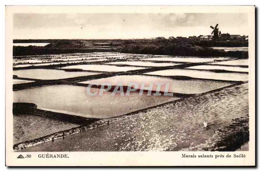 Guérande — Salzwiesen nahe Saillé — CH DES ARTS PHOTOGRAPHIQUES - Vorderseite