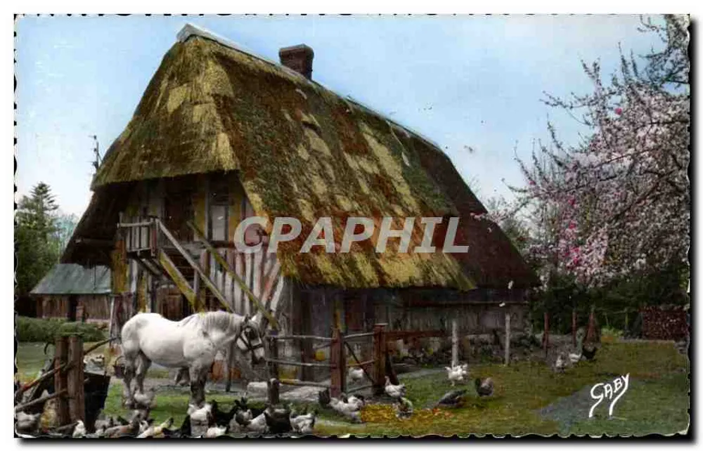 Die Farm — Normandie — Éditions Gaby - Vorderseite