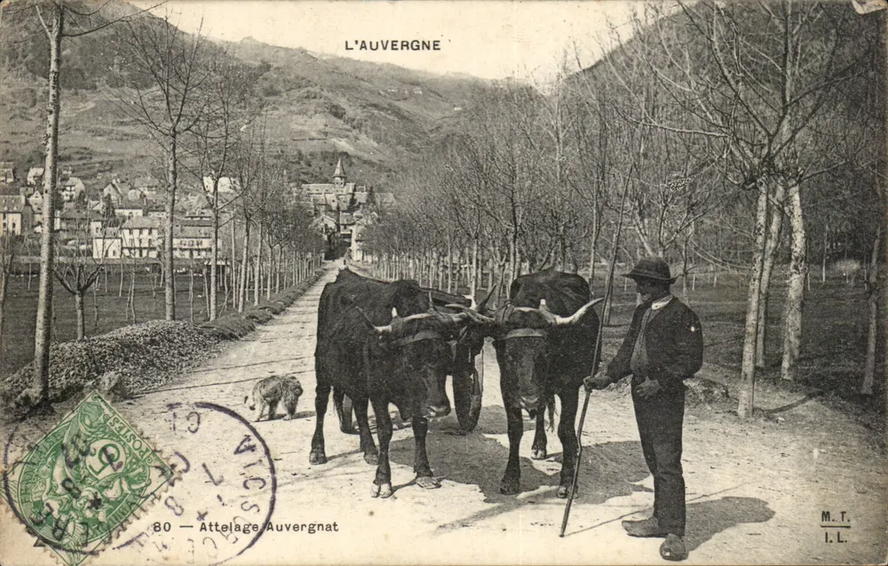 Auvergne — Auvergne Kutsche — M.T. I.L. - Vorderseite