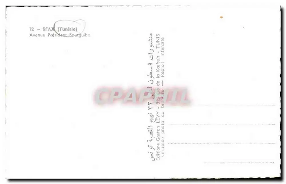 Avenue Präsident Bourguiba — Tunis — Verlag Gaton LEVY, n° 12 - Rückseite
