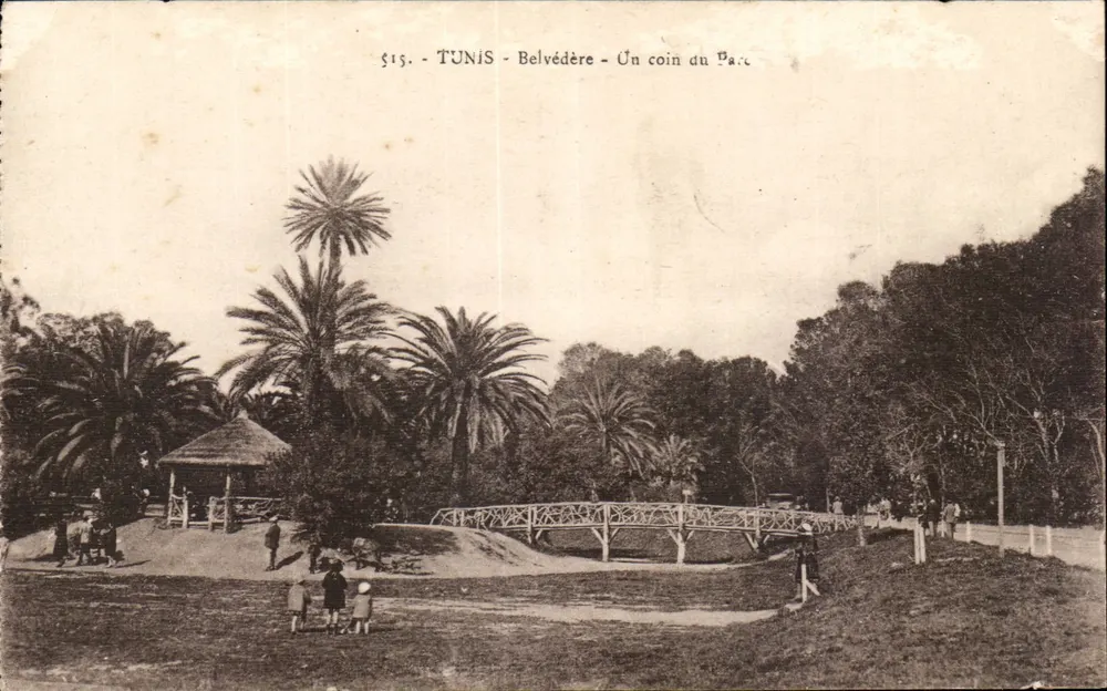 Tunis - Belvédère - Ein Eckbereich des Parks — Verlag E.M.T. Nr. 515 - Vorderseite