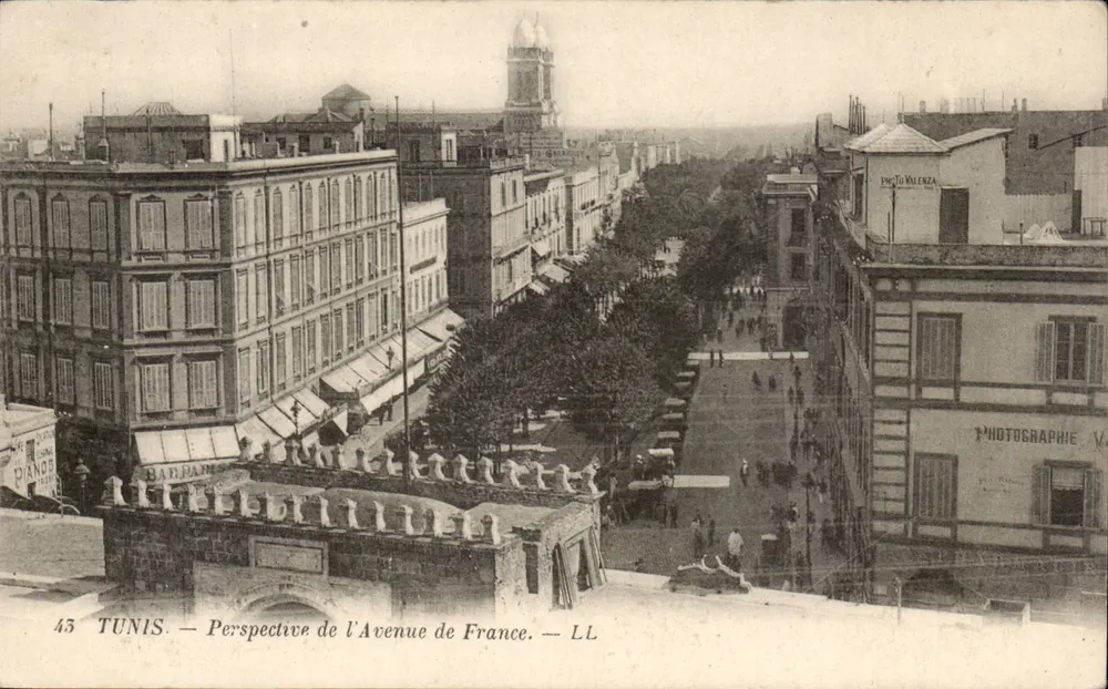 Tunis — Perspektive der Avenue de France — Verlag LL - Vorderseite