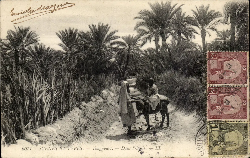 Touggourt — In der Oase — Verlag LL, Nr. 6071 - Vorderseite