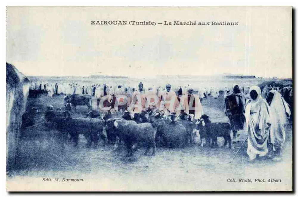 Kairouan (Tunesien) — Der Viehmarkt — Verlag M. Darmount - Vorderseite