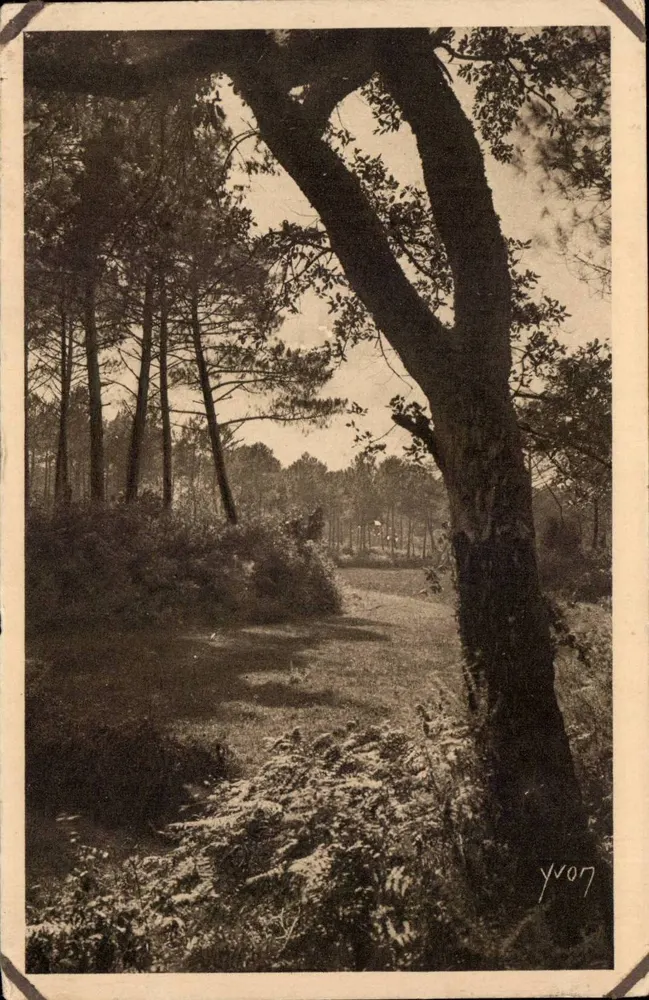 Les Landes de Gascogne — Paisagem landaise — Edição de Arte YVON - Frente