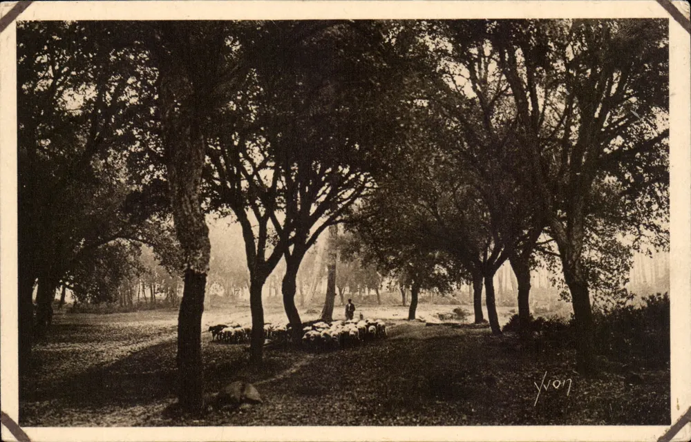 Os Carvalhos de Borracha — As Landas da Gasconha — Edições d'Art YVON, Paris - Frente