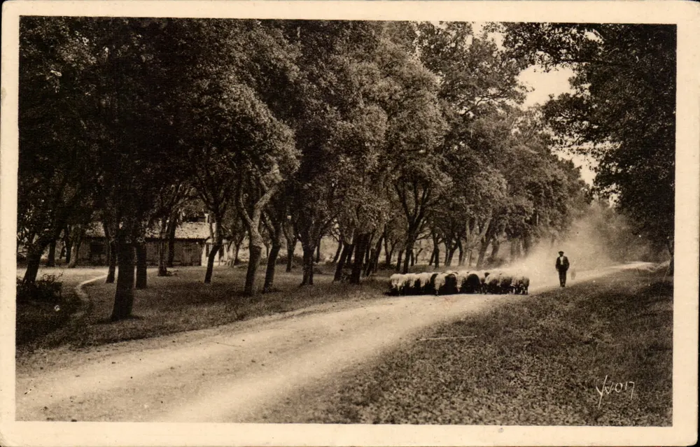 Les Landes de Gascogne — Auf den staubigen Straßen — Éditions d'Art YVON, Paris - Vorderseite