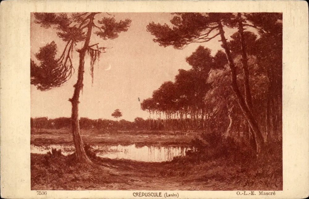 Crepúsculo (Landes) — paisagem florestal com lua — O.-L.-E. Mascré, n° 7536 - Frente