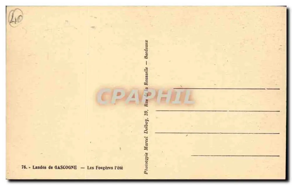Wälder der Landes de Gascogne — Die Farne im Sommer — Phototypie Marcel Delboy, 39, Rue de la Roussetille, Bordeaux - Rückseite