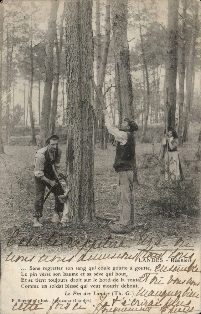 Le Pin des Landes — Resiniers — F. Bernolet, Arluzanx - Vorderseite