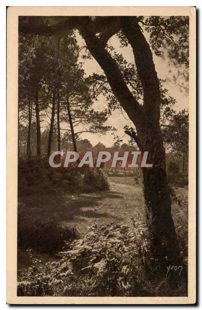Les Landes de Gascogne — Landschaft der Landes — Édition d'Art YVON, Paris - Vorderseite