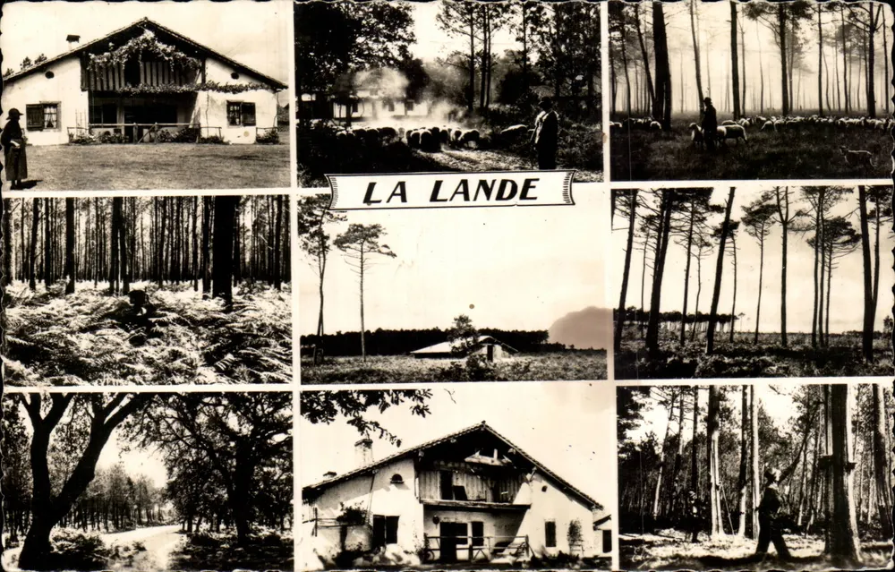 La Lande — Floresta e fazenda — L. Chatagneau, Bordeaux - Frente