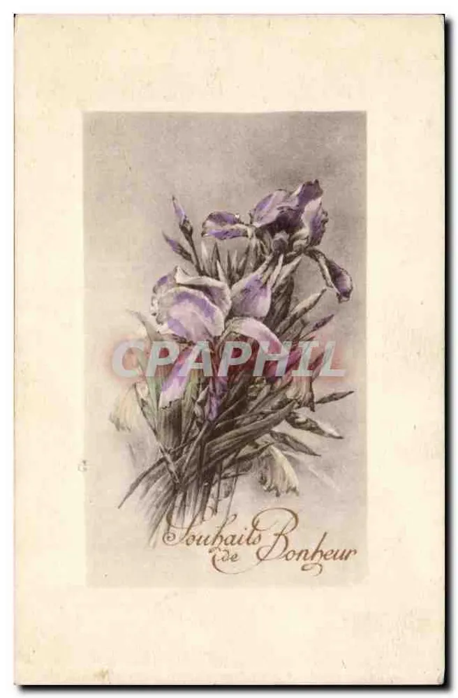 Büschel von Iris — Wünsche zum Glück — Em. Brothérioux, Imp. édit. Paris, Serie Nr. 27 - Vorderseite