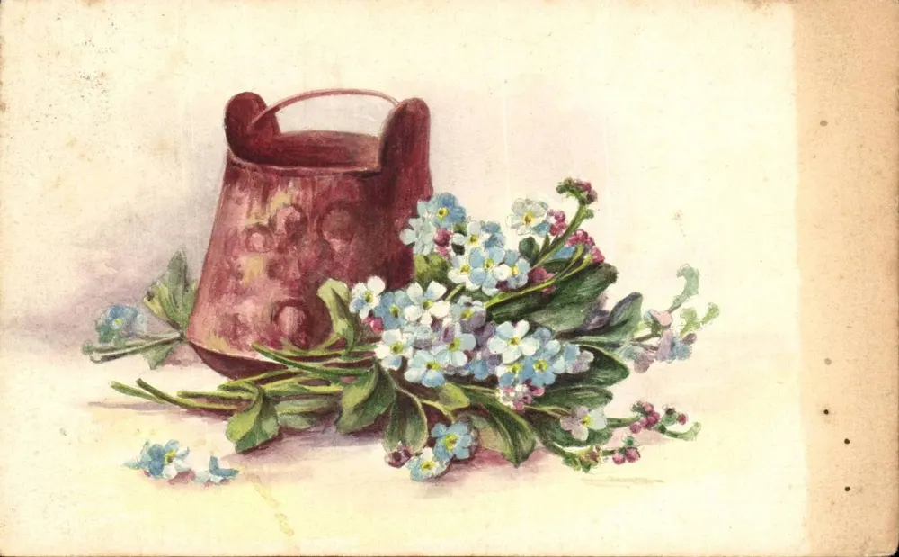 Jardineiro e buquê de flores de 'me esqueça' — Tuck's Post Card, série n°4080 - Frente