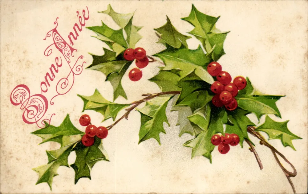 Ebereschenzweig — Frohe Weihnachten — französische Ansichtskarte - Vorderseite