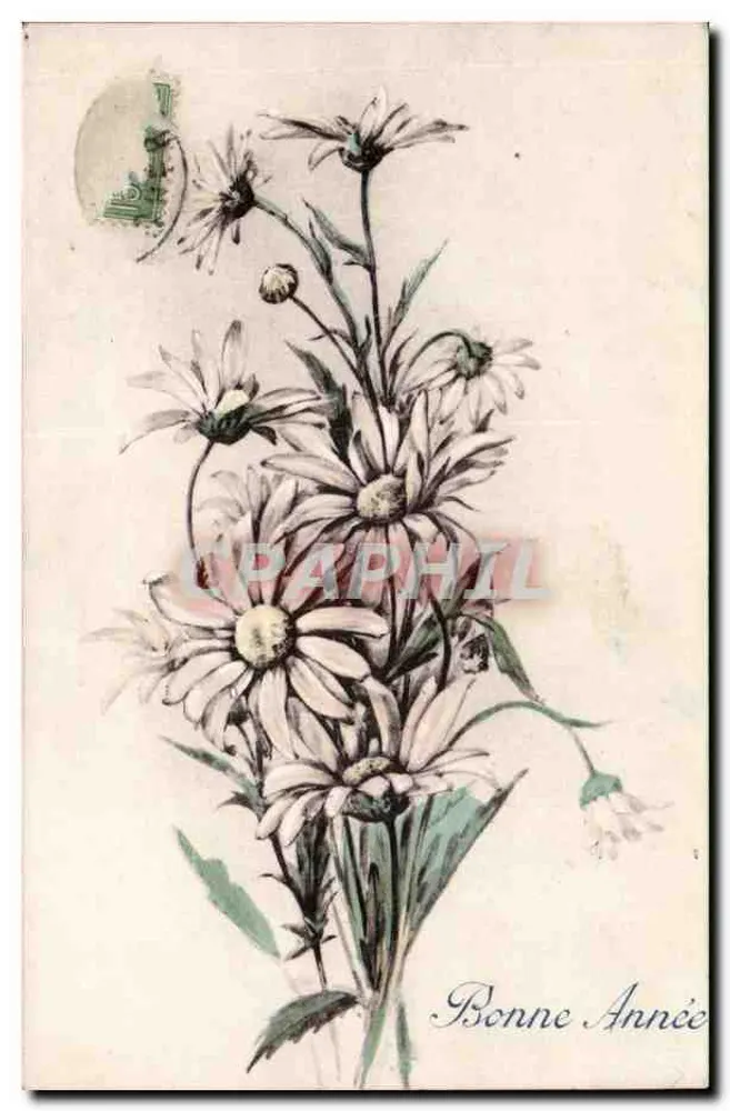 Blumenstrauß aus Margeriten — Gutes Jahr — Ansichtskarte aus der Serie Nr. 23, Verlag B. Paris - Vorderseite