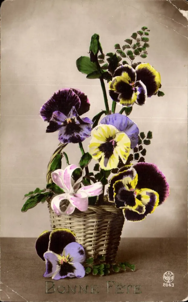 Blumenstrauß aus Chrysanthemen — Guten Geburtstag — Verlag RAYNOER, n° 2043 - Vorderseite