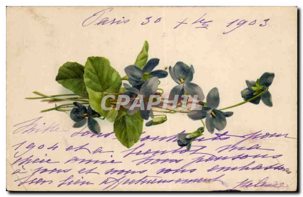 Violeta — Paris 30 + 15 1903 — Carta postal - Frente