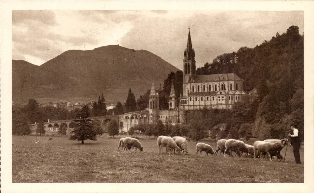 Die Basilika aus der Wiese der Grotte gesehen — Lourdes — Edition Palais de Rossire - Vorderseite