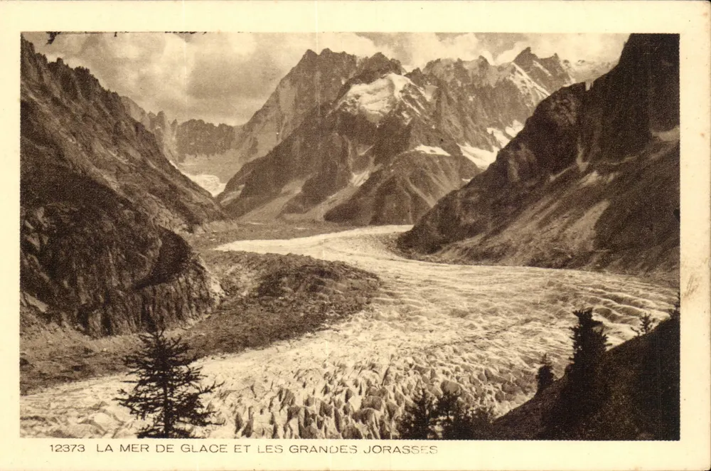 Die Mer de Glace und die Grandes Jorasses — Alpenblick — Verlag Braun & Cie, Dornach, Nr. 12373 - Vorderseite
