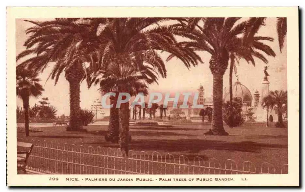 Nizza - Palmieren van het Publieke Tuin - Palm trees of Public Garden - Uitgever LL, n° 299 - Voorkant