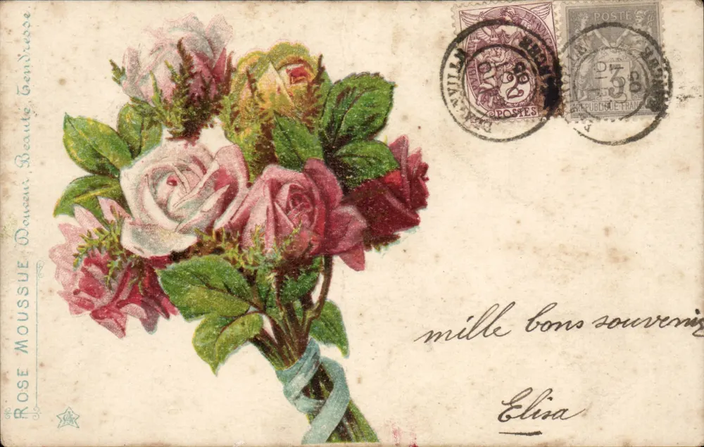 Bouquet di rose — editore Rose Moussue, n°494 - Recto
