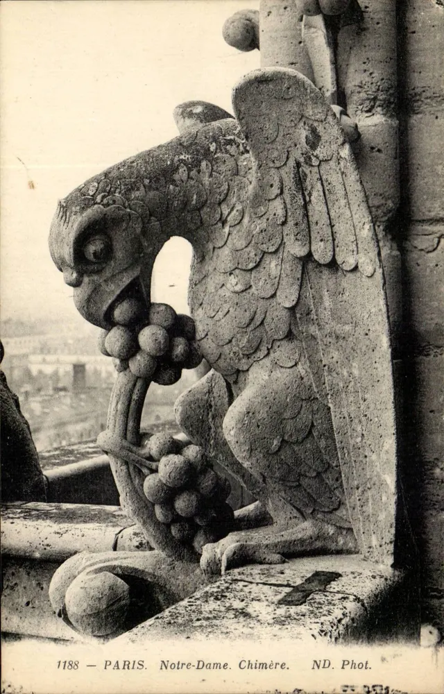 Gargouille — Notre-Dame de Paris — ND. Fot. n°1188 - Frente