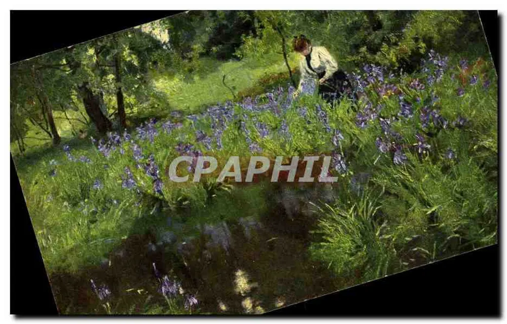 Frau, die Blumen im Garten pflückt — Illustration — Verlag nicht sichtbar - Vorderseite