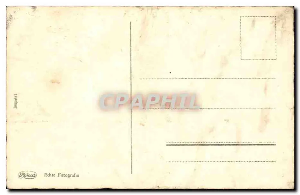 Tulpen in einer Vase — Fotografie — Rokeaz Import - Rückseite