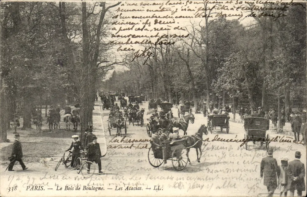 PARIS — Le Bois de Boulogne — Les Acacias — LL. — n° 338 - Vorderseite