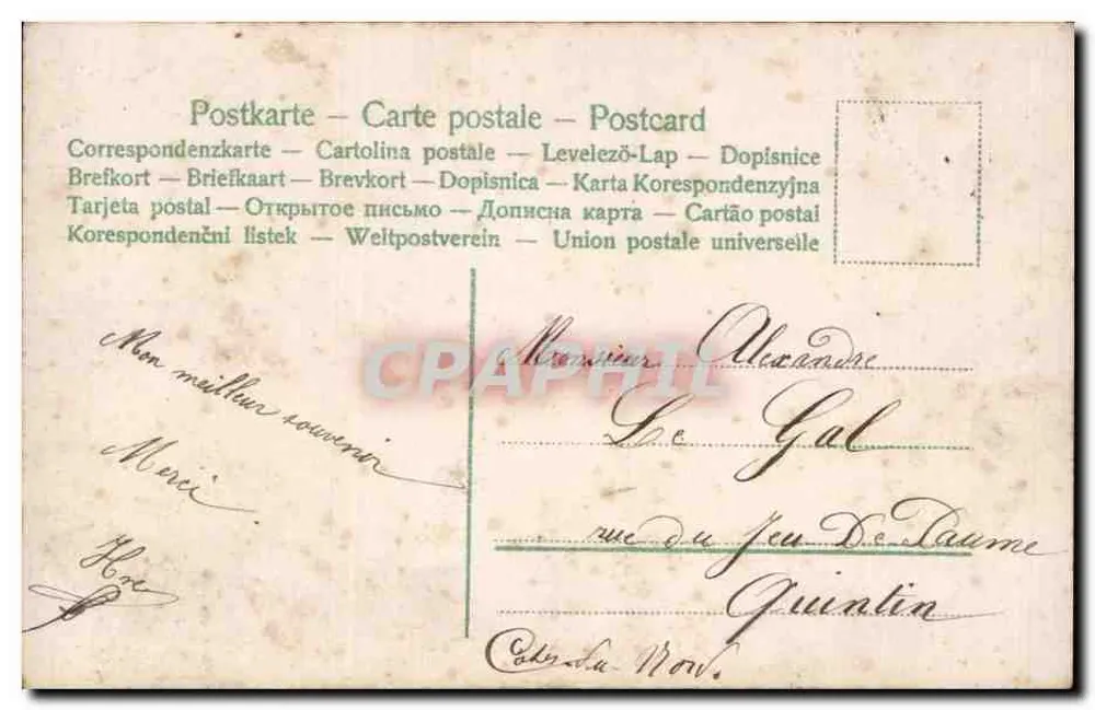 Junge Frau in grünem Kleid — Blumen und Fell — anonymer Verlag, Nr. 31754 - Rückseite