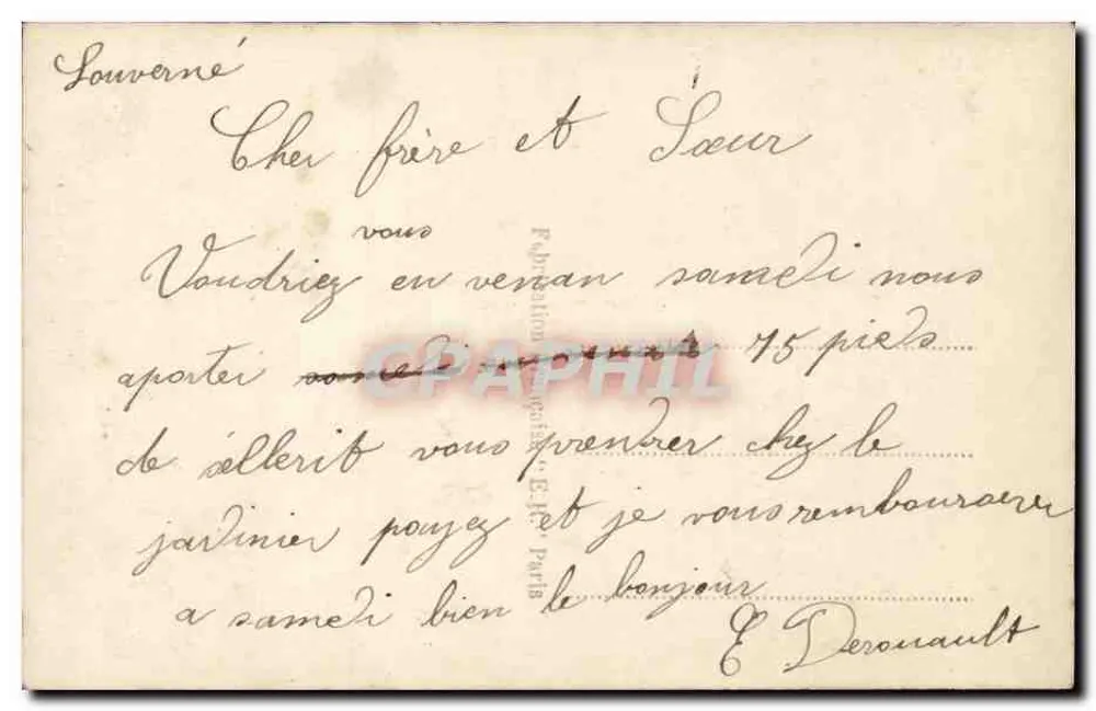 Pansies coloridas — editor E.R. Paris, n° 492 - Verso