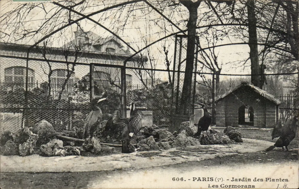 Paris (5e) - Jardim das Plantas - Os Cormorãos - J.H. n°606 - Frente