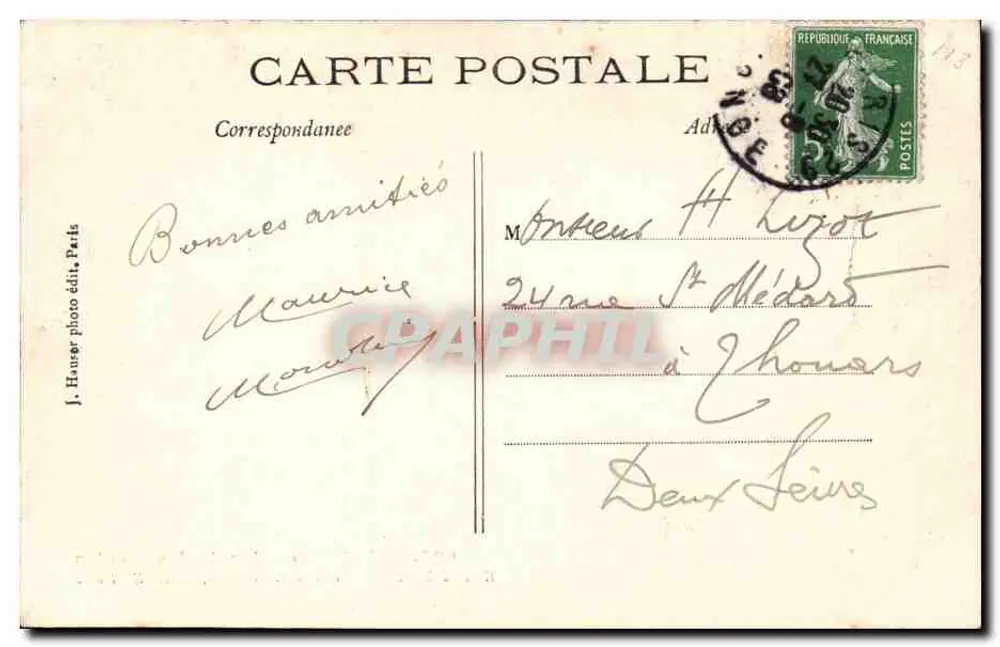 Grünschnabelstorch — Grus viridirostris — Jardin des Plantes, Paris - Rückseite