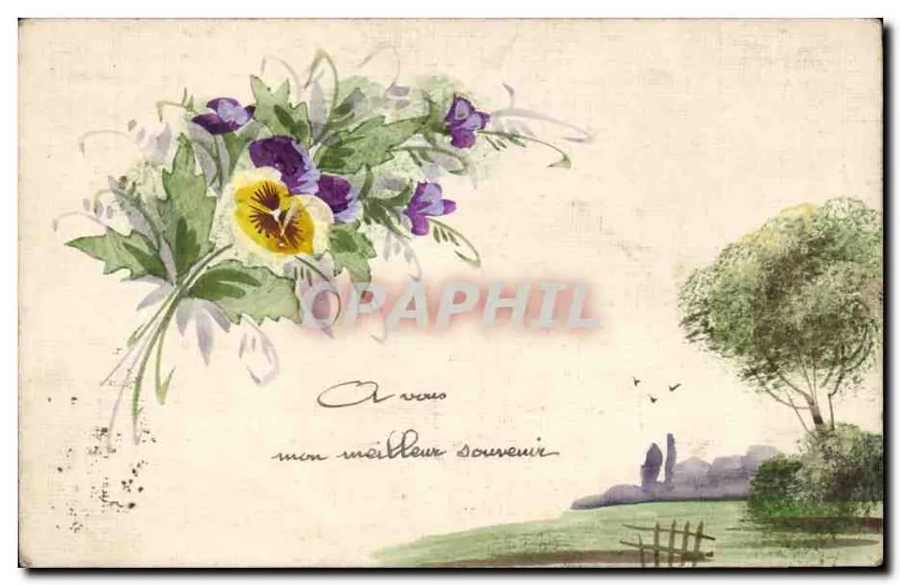 Frühlingsblumen — ländliches Landschaftsbild — kein Verleger oder Nummer sichtbar - Vorderseite