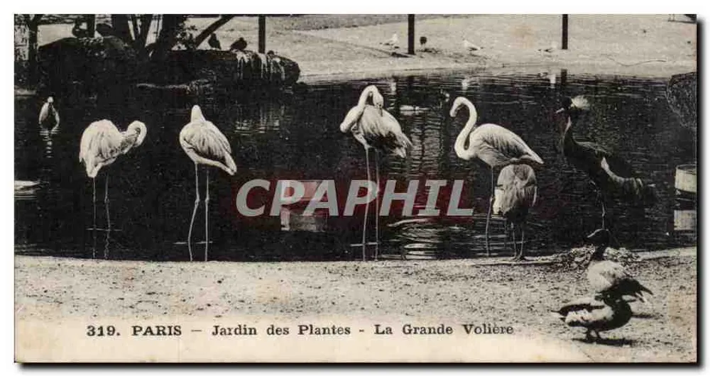 Paris - Jardin des Plantes - Der Große Vogelhaus —n°319 - Vorderseite