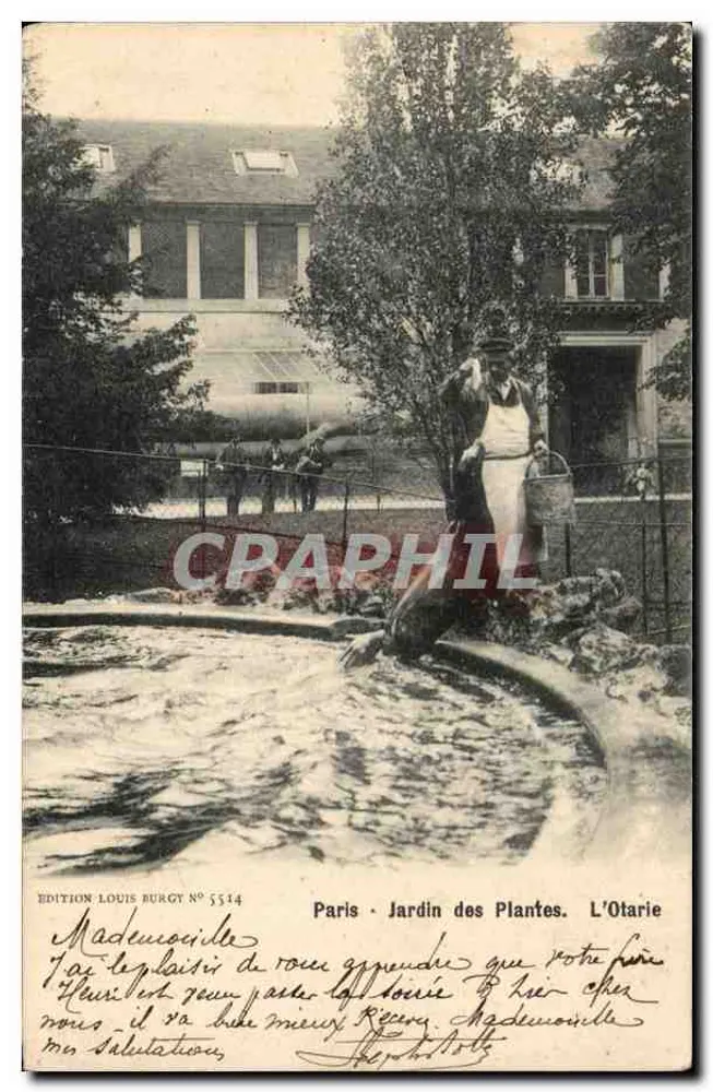 Paris - Jardin des Plantes. Der Otter — Édition Louis Burgy N°5514 - Vorderseite
