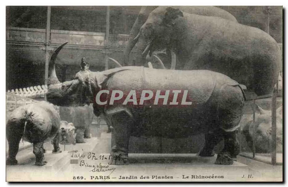Paris — Jardin des Plantes — Der Rhinoceros — J. II. - Vorderseite
