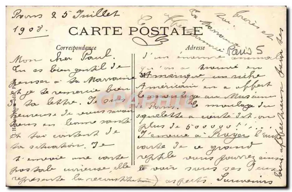 PARIS — Jardin des Plantes — Rekonstruktion des Diplodocus, riesiges Reptil — J.H. - Rückseite