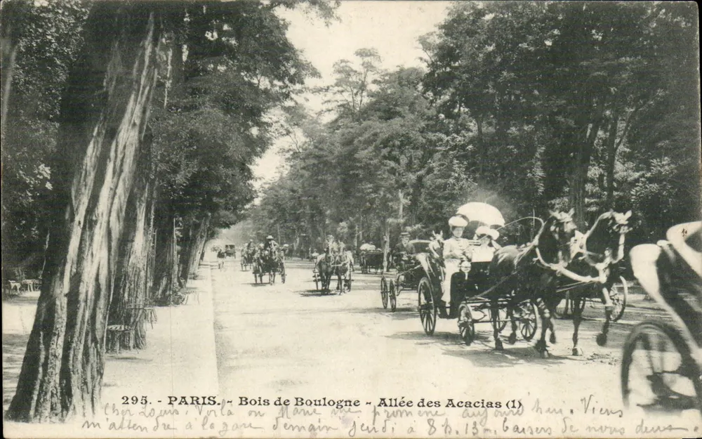 Paris - Bois de Boulogne - Allée des Acacias (1) — anonymer Verlag, n° 295 - Vorderseite