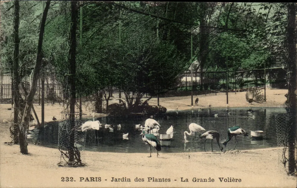 Paris - Jardin des Plantes - Die Große Volière — Verlag IPM, Nr. 232 - Vorderseite
