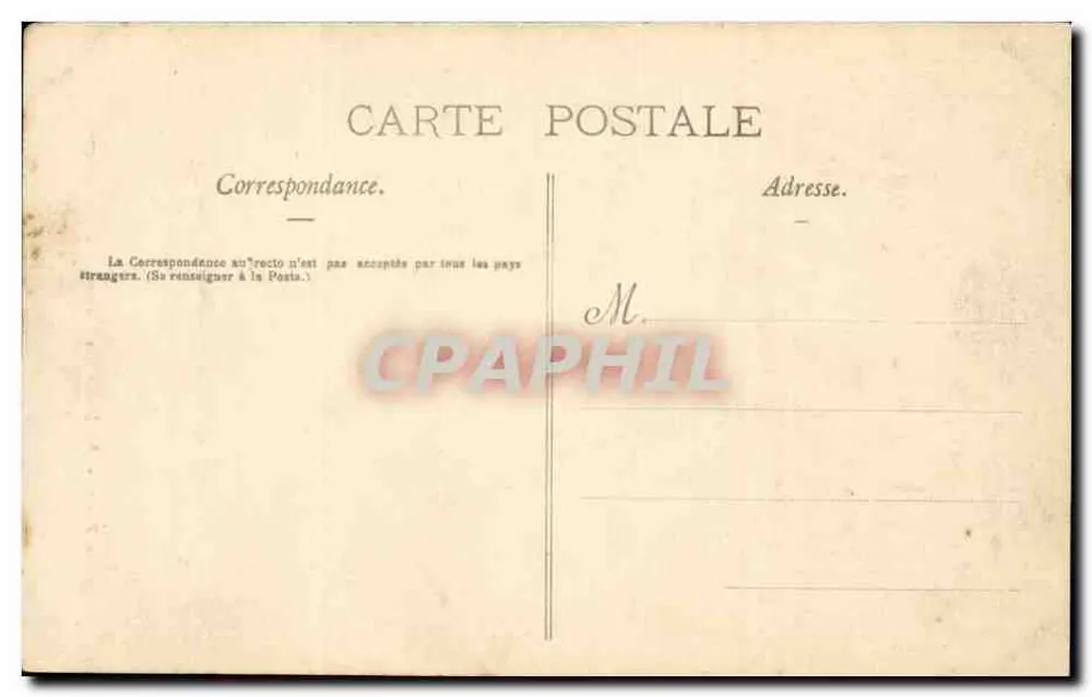 Paris — Im Jardin des Plantes — Nasenaffe - Rückseite